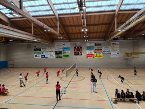 Partido suge trebeak